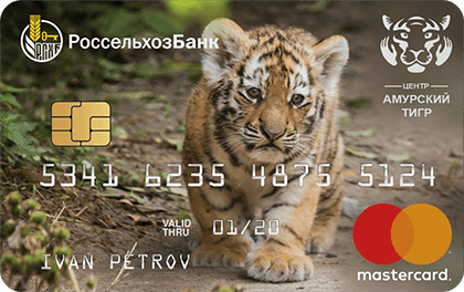 Russian Agricultural Bank Amur Tiger