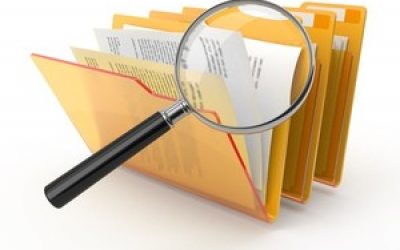 Borrower's credit history information