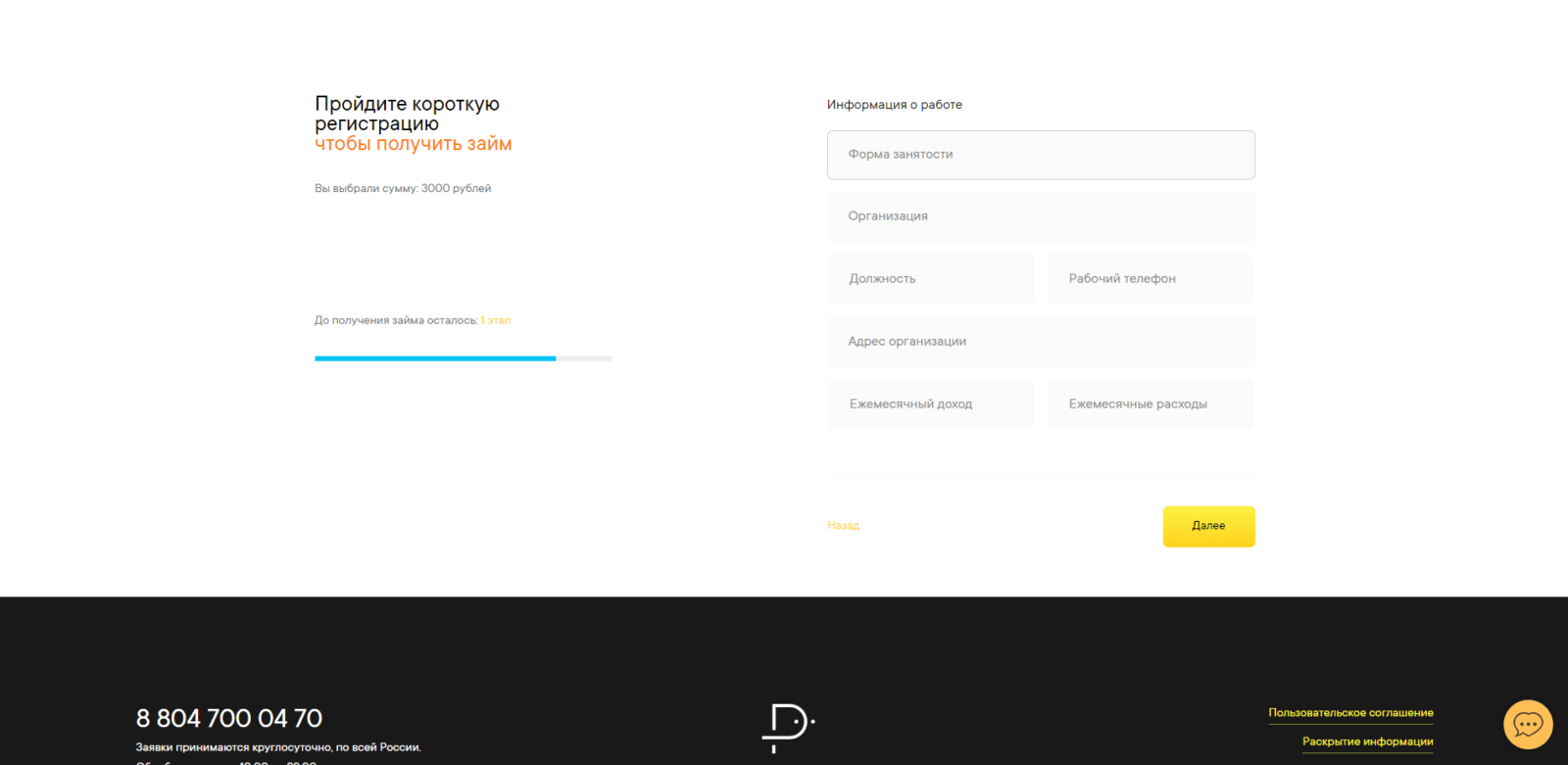 Provide employment and income information Rubl.ru loan step 6