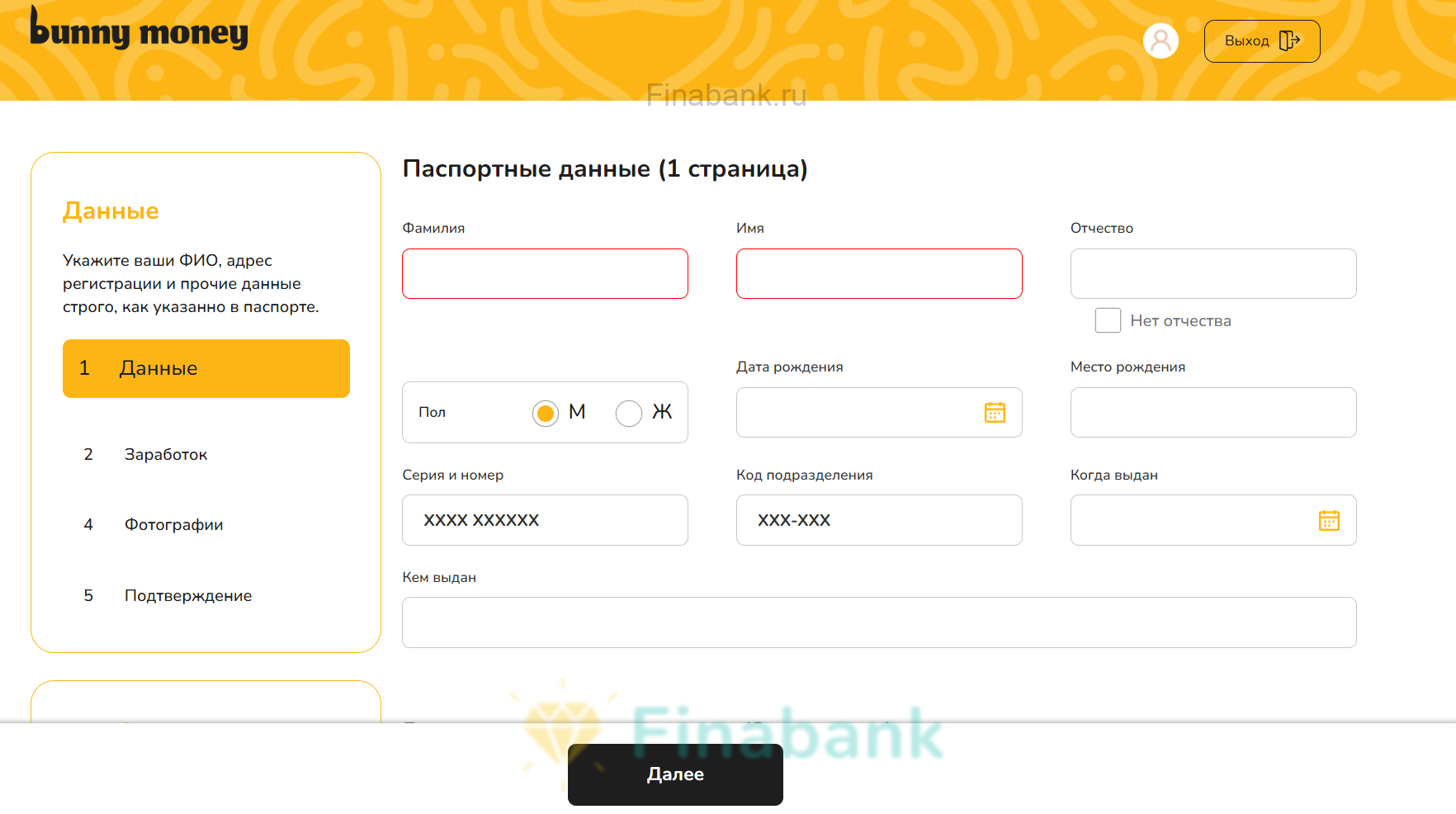 Enter your passport details and place of registration Bunny Money 3